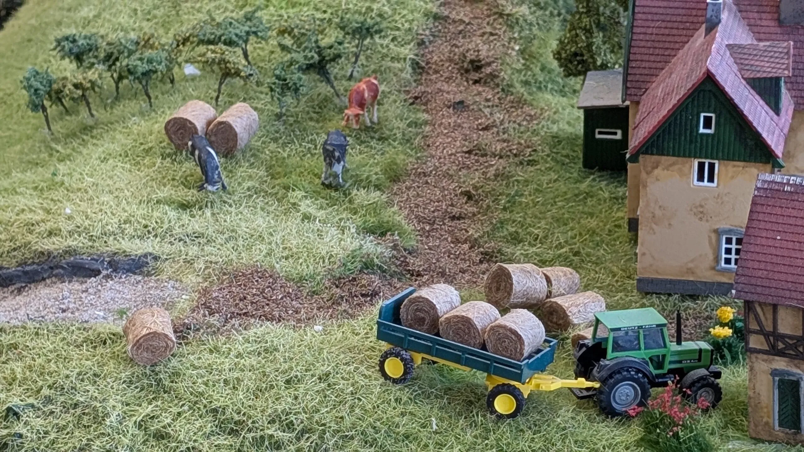 Der Bauer tuckert mit dem Traktor und einem Anhänger voller Strohballen ins Bergdorf, während auf den Wiesen die Kühe friedlich das frische Gras fressen