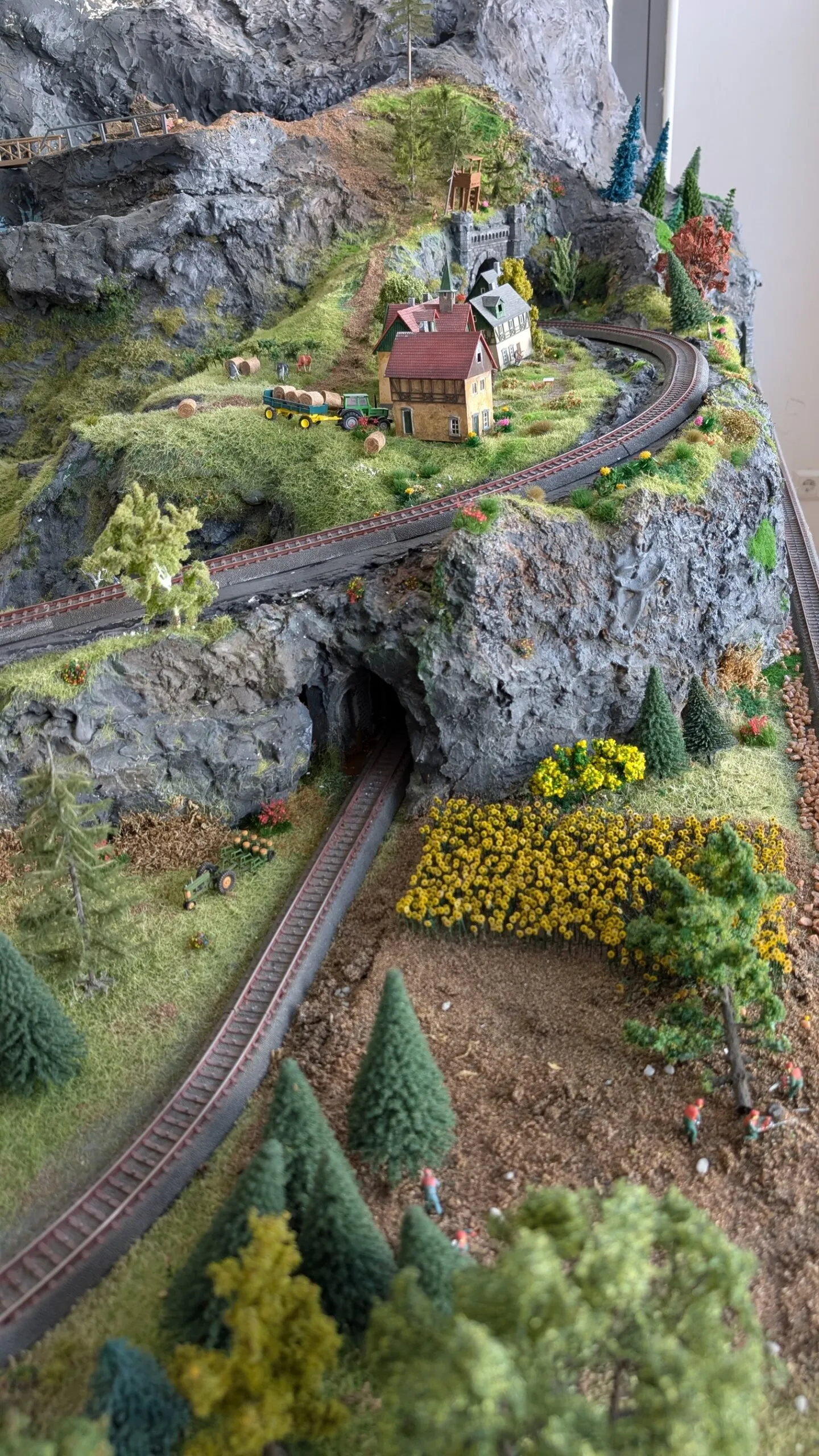 Von hier aus öffnet sich der Blick auf das goldgelbe Sonnenblumenfeld und dahinter das malerische Bergdorf am Hang